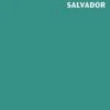 Wallpaper* City Guide Salvador -Osprey Salgsbutikk 9780714867823
