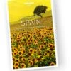 Best Of Spain 2 -Osprey Salgsbutikk Best of spain 2.9781786572684.pdp .0