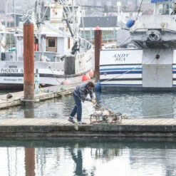 KAVU Eagle Pine Skjortejakke -Osprey Salgsbutikk EAGLEPINE 3 1800x1800 jpg