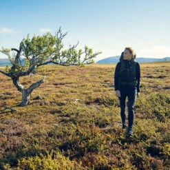 Abisko Trekking Turtights Dame -Osprey Salgsbutikk Fjellreven Abisko Trekking Turtights Dame modell turstemning