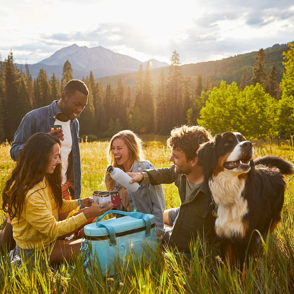 Hydro Flask Isolerende Vinkaraffel (750 Ml) 6 Hydro Flask Isolerende Vinkaraffel (750 Ml) - Bilde 4