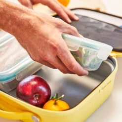 Hydro Flask Isolerende Lunsjboks (Small) -Osprey Salgsbutikk Hydro Flask Isolerende Lunsjboks Small gronnsaker