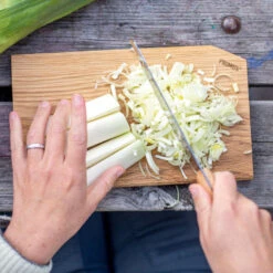 Primus CampFire Cutting Set -Osprey Salgsbutikk Primus Campfire Cutting Set ovenfra