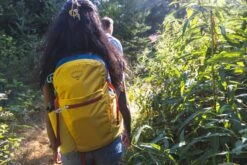 Osprey Daylite Plus Dagstursekk -Osprey Salgsbutikk S23 Daylite Plus Holz Seattle 3619exp 8 26 24 web