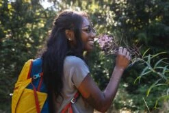 Osprey Daylite Plus Dagstursekk -Osprey Salgsbutikk S23 Daylite Plus Holz Seattle 3764exp 8 26 24 web