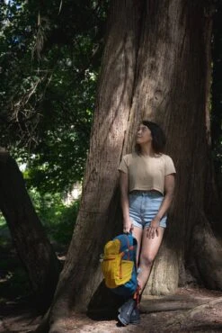 Osprey Daylite Plus Dagstursekk -Osprey Salgsbutikk S23 Daylite Plus Holz Seattle 5087exp 8 26 24 web