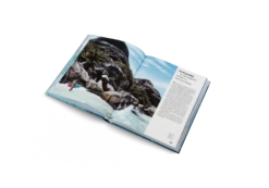 She Surf - The Rise Of Female Surfing -Osprey Salgsbutikk SheSurf inside04 2000x aec2b047 8b93 4c90 8529 4de62b285a79