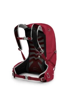 Osprey Talon 22 Dagstursekk -Osprey Salgsbutikk Talon 22 S21 SideBack Cosmic Red web