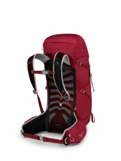 Osprey Talon 33 Dagstursekk -Osprey Salgsbutikk Talon 33 S21 SideBack Cosmic Red web