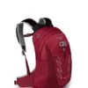 Osprey Talon 11 Jr Tursekk Gutt -Osprey Salgsbutikk Talon Jr 14 S21 Side Cosmic Red web