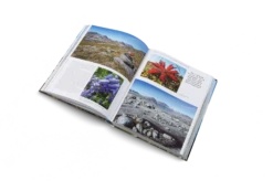 Wanderlust Europe - The Great European Hike -Osprey Salgsbutikk WanderlustEurope inside06 2000x 3b738a0b af98 49d5 99ee 5e356fc8c361