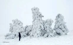 Below Zero - Adventures Out In The Cold -Osprey Salgsbutikk belowzero press pp004 005 2000x 394e1620 d34f 41a8 9889 7f8b0bc72b38