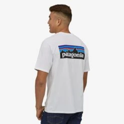 Patagonia P-6 Logo Responsibili-Tee Herre -Osprey Salgsbutikk gray 6