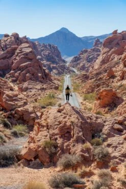 The Great American Road Trip -Osprey Salgsbutikk p 127 TheGreatAmericanRoadTrip gestalten2022 NoUsageWithoutCredits 2000x png