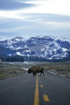 The Great American Road Trip -Osprey Salgsbutikk p 208 TheGreatAmericanRoadTrip gestalten2022 NoUsageWithoutCredits 2000x png