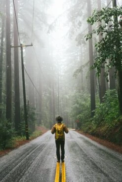 The Great American Road Trip -Osprey Salgsbutikk p 262 TheGreatAmericanRoadTrip gestalten2022 NoUsageWithoutCredits 2000x jpg